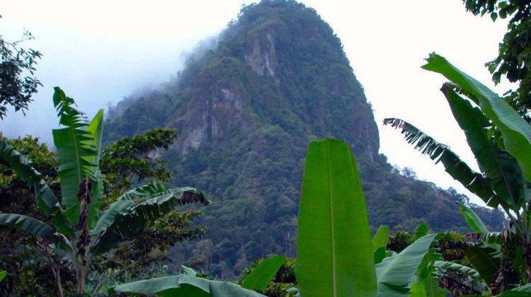 Cerro Musun Nicaragua