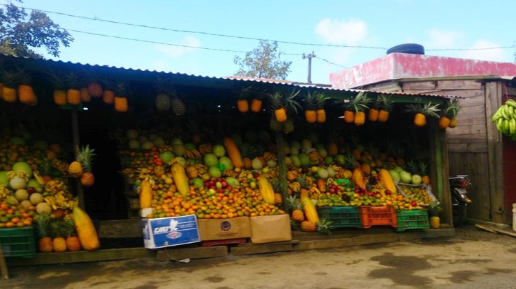 Las tradicionales ventas de frutas en el Crucero