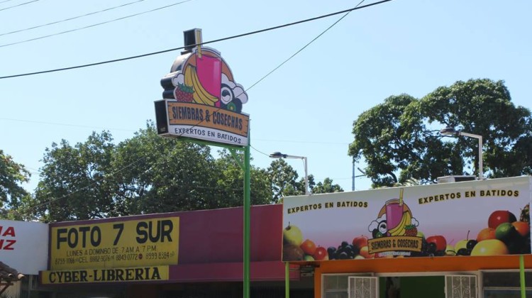 Siembras y Cosechas Nicaragua