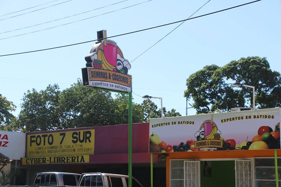 Siembras y Cosechas Nicaragua