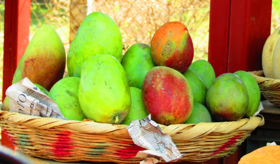 El negocio de vender Mangos en Nicaragua