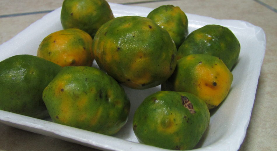 5 Frutas que gustan a los Nicaragüenses