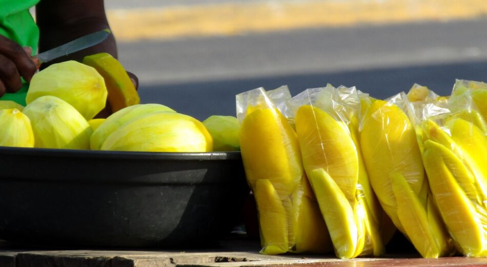 El negocio de vender mangos en Nicaragua